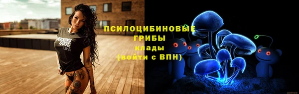 прущий лед Балахна