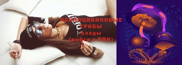 прущий лед Балахна