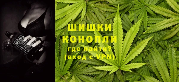 спайс Баксан