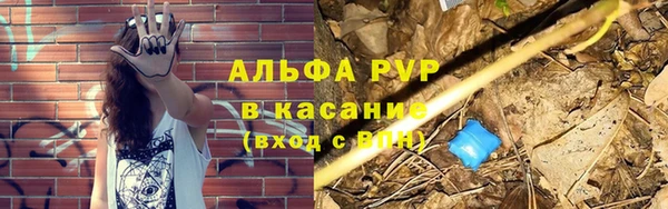 спайс Баксан