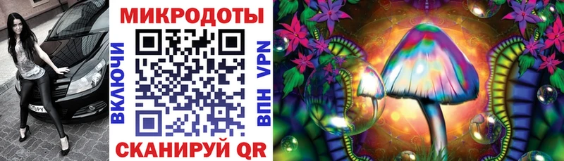 Купить  Оленегорск  Псилоцибиновые грибы Cubensis 