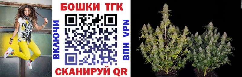 Бошки Шишки план  Купить  Оленегорск 